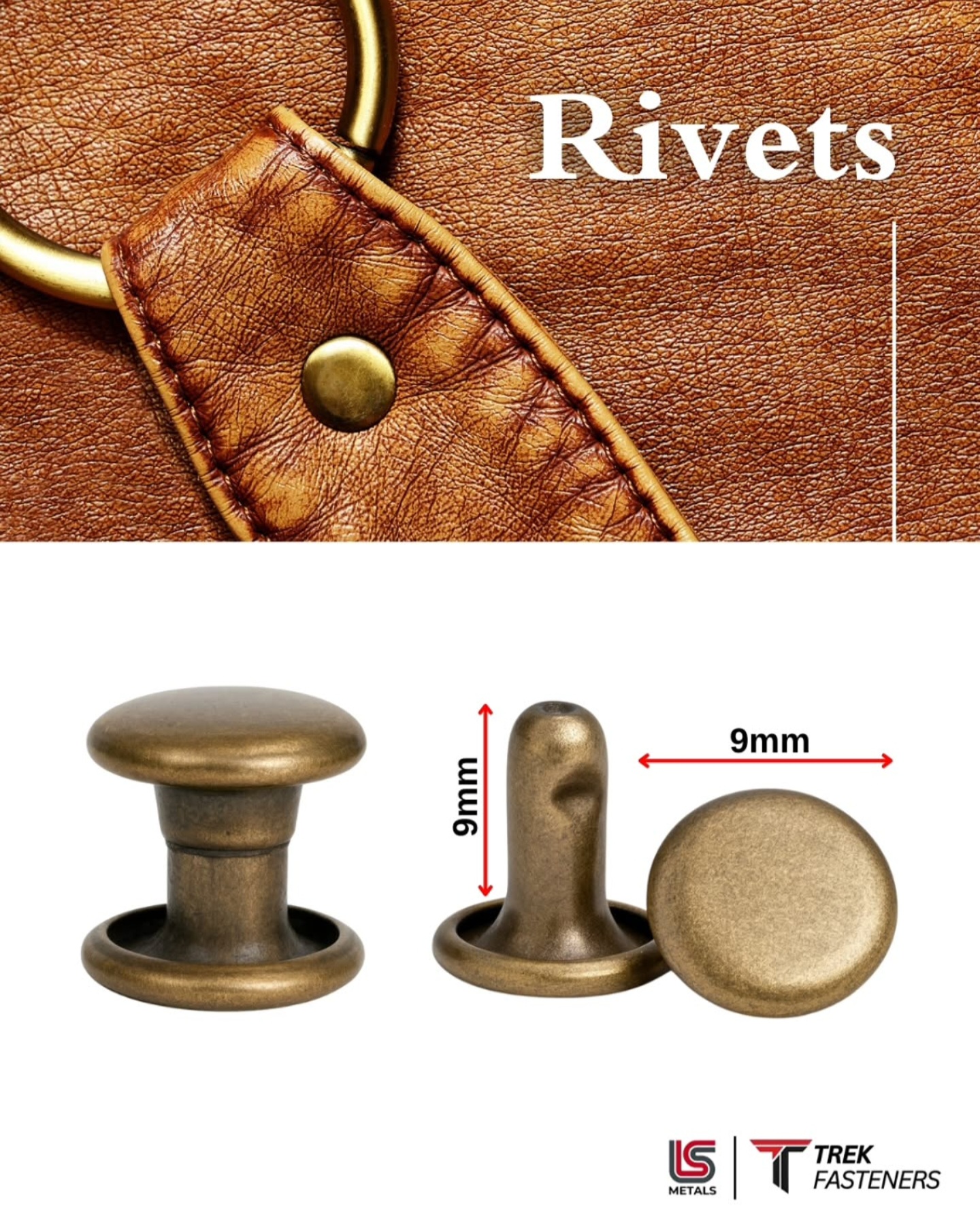 RIVETS